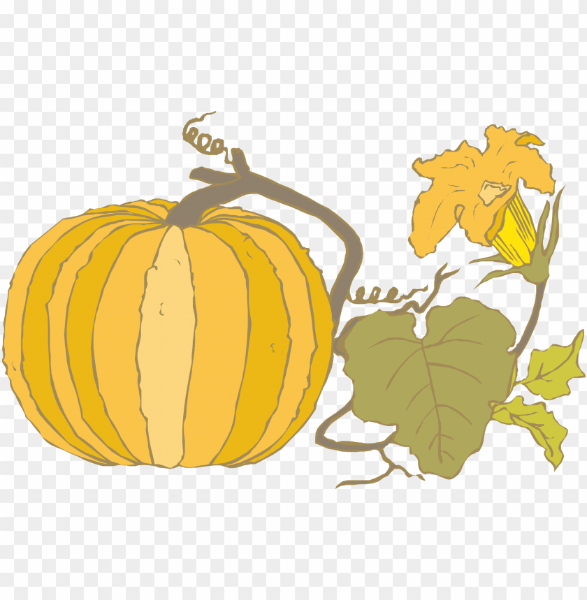 vector pumpkin with leaves autumn wall PNG image with transparent background@toppng.com