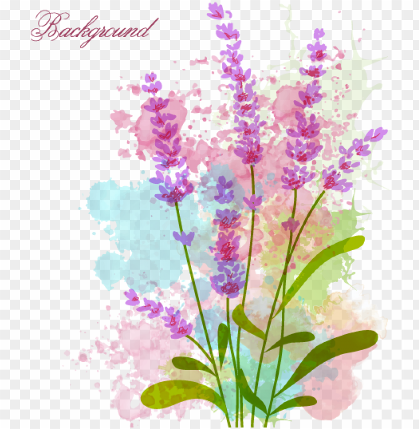 vector stock watercolor flowers vector material transprent watercolor flower PNG transparent with Clear Background ID 192751