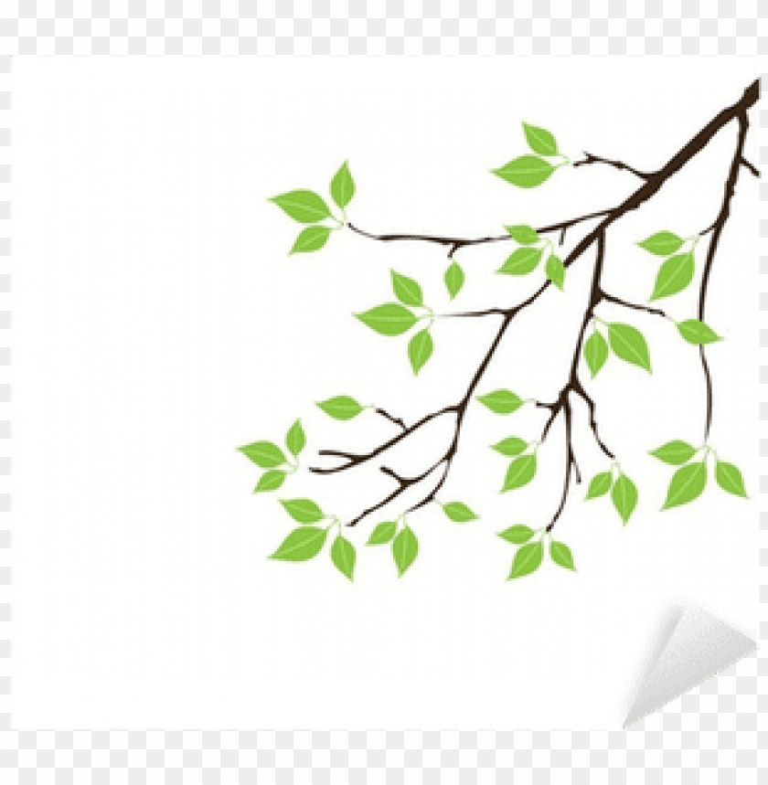 Vector Tree Branch With Green Leaves Sticker Pixers Click Wall Art 'blue Spring Cardinal' Framed Graphic PNG Image With Transparent Background