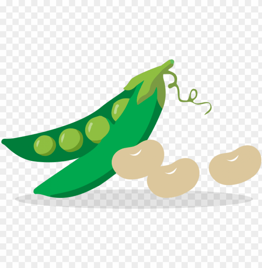 Vegetable PNG Transparent With Clear Background ID 79500 | TOPpng
