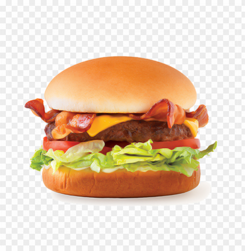veggie delight burger - mexican burger PNG image with transparent background@toppng.com