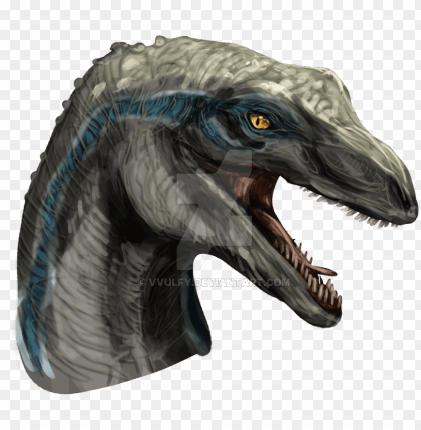 Velociraptor Drawing Watercolor Blue Raptor Head Png Image With Transparent Background Toppng