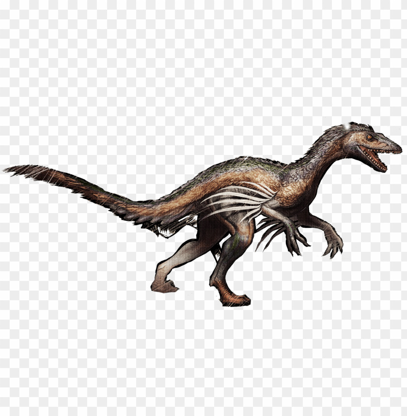 velociraptor troodon survival evolved tyrannosaurus ark troodo PNG transparent with Clear Background ID 236486