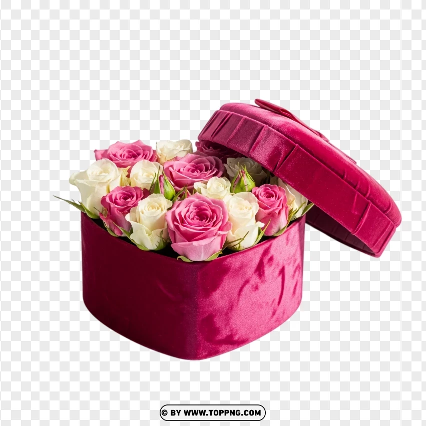Velvet Box With Pink And White Roses PNG Transparent Background