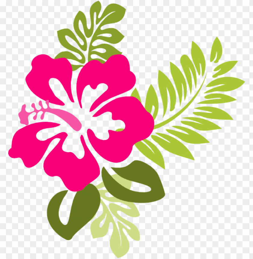very best clipart flower free hibiscus clipart collection - hibiscus flower clipart PNG image with transparent background@toppng.com