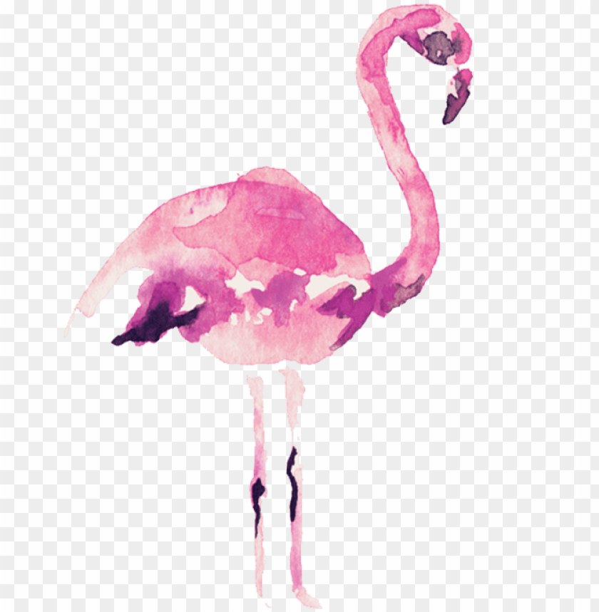video courtesy of audrey alba films - flamingo watercolor transparent background PNG image with transparent background@toppng.com