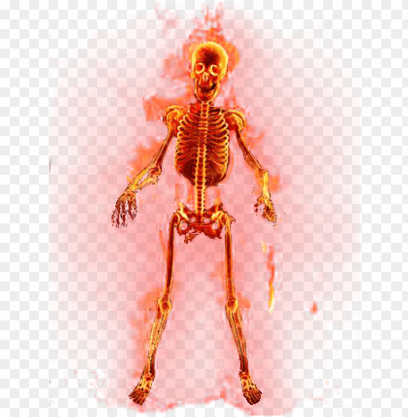 view samegoogleiqdbsaucenao flaming skeleton tran PNG transparent with Clear Background ID 248933