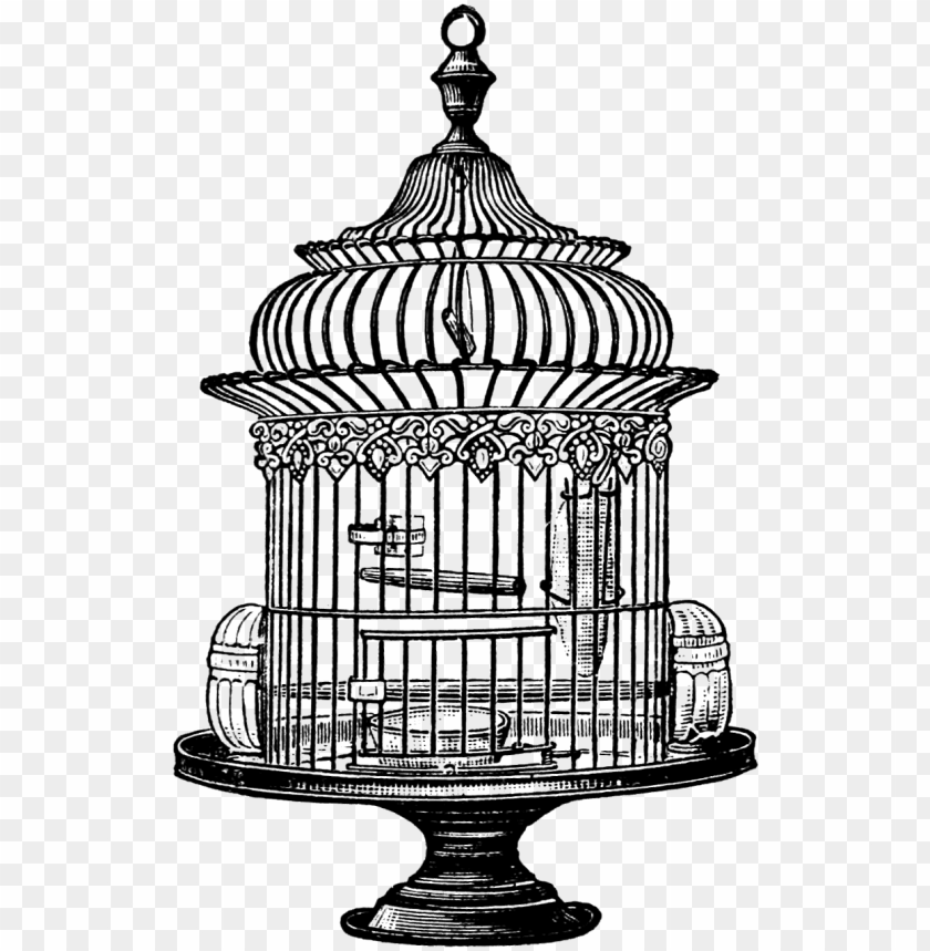 bird cage illustration