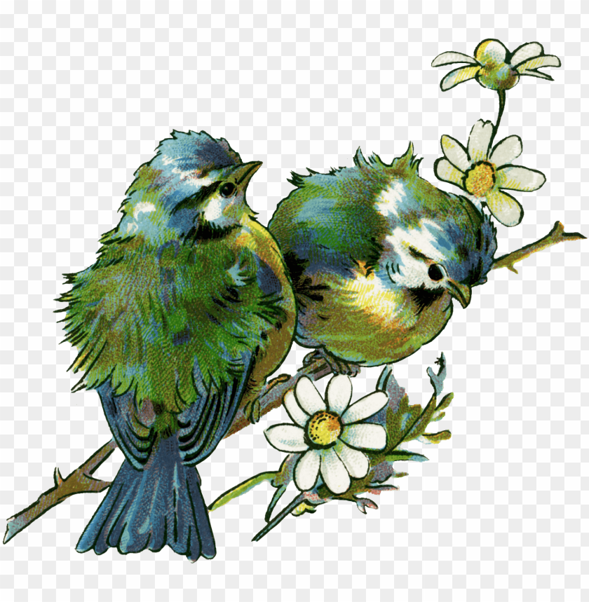 i love you, phoenix bird, twitter bird logo, big bird, bird wings, flappy bird pipe