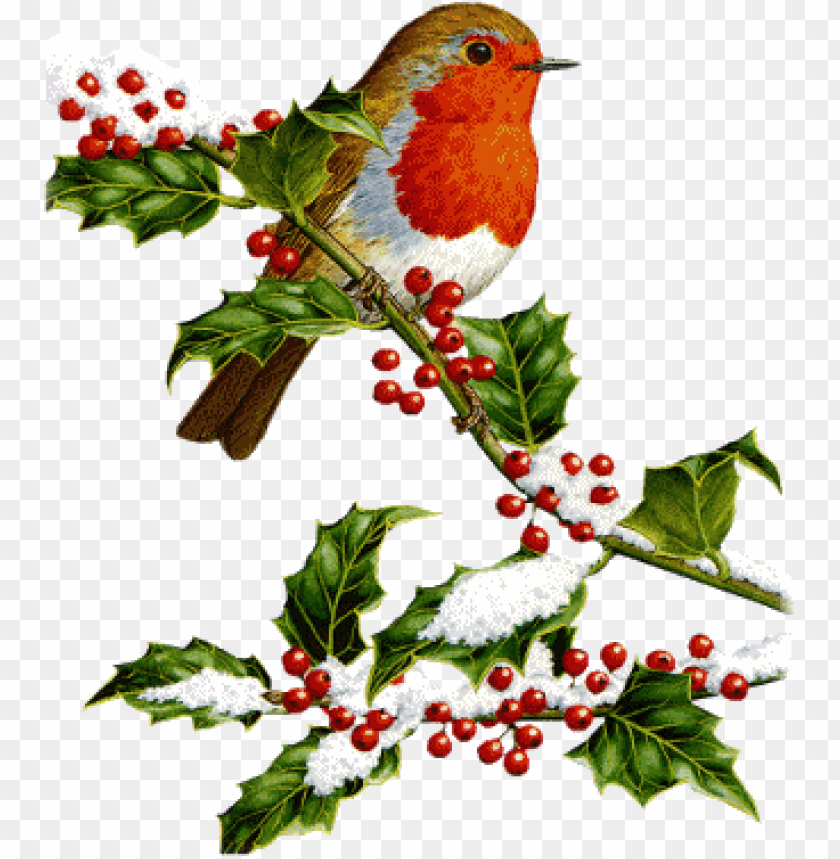 feedback, christmas ornament, christmas present, christmas bow, christmas lights border, christmas tree vector