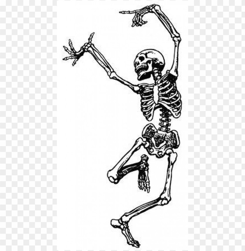 Download vintage halloween fancy skeleton man skeletons clipart png ...