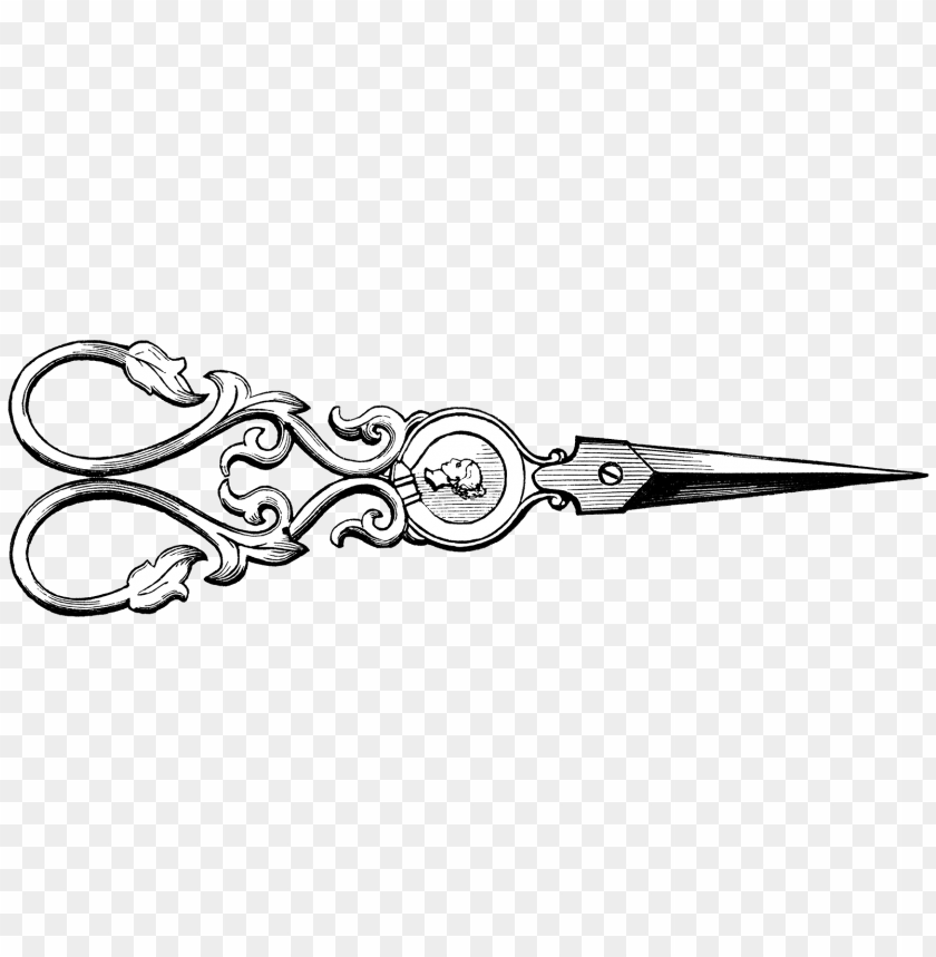 tools and parts, scissors, vintage scissors drawing, 