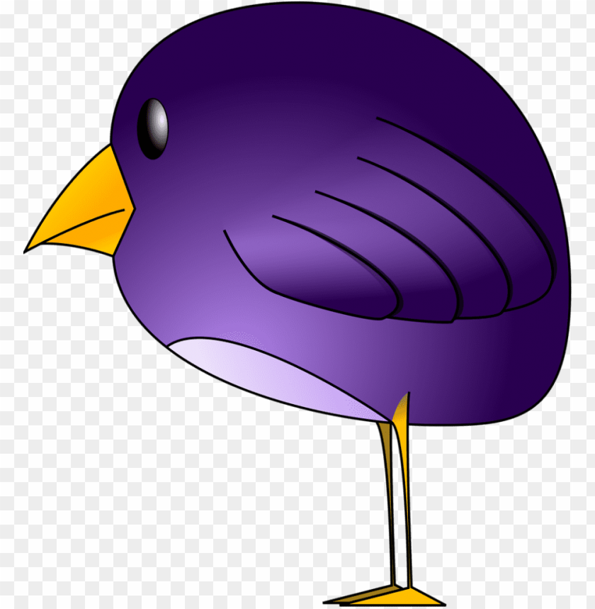 phoenix bird, twitter bird logo, feather silhouette, big bird, feather vector, indian feather
