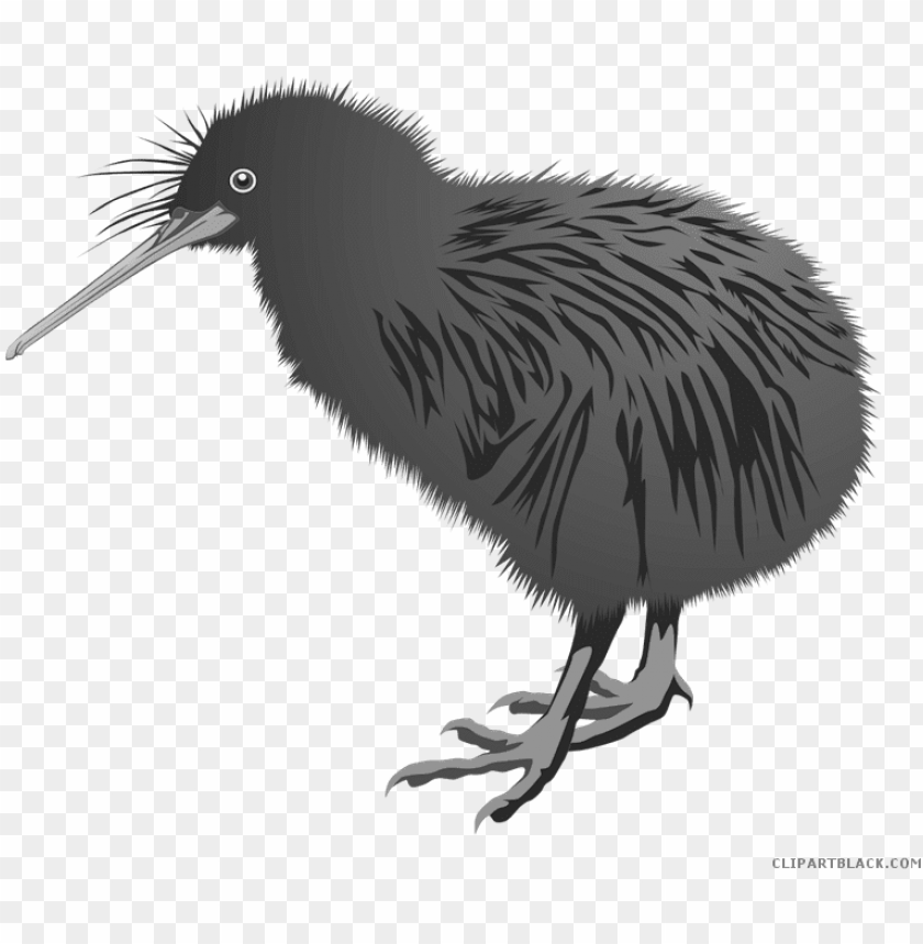 kiwi, phoenix bird, twitter bird logo, download button, big bird, bird wings