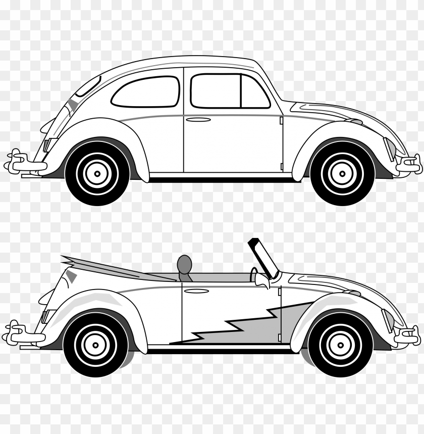 vw, insect, car logo, bug, isolated, nature, cars