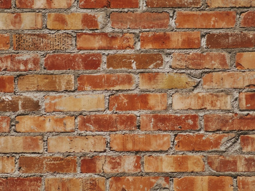 wall, bricks, texture, surface, brick