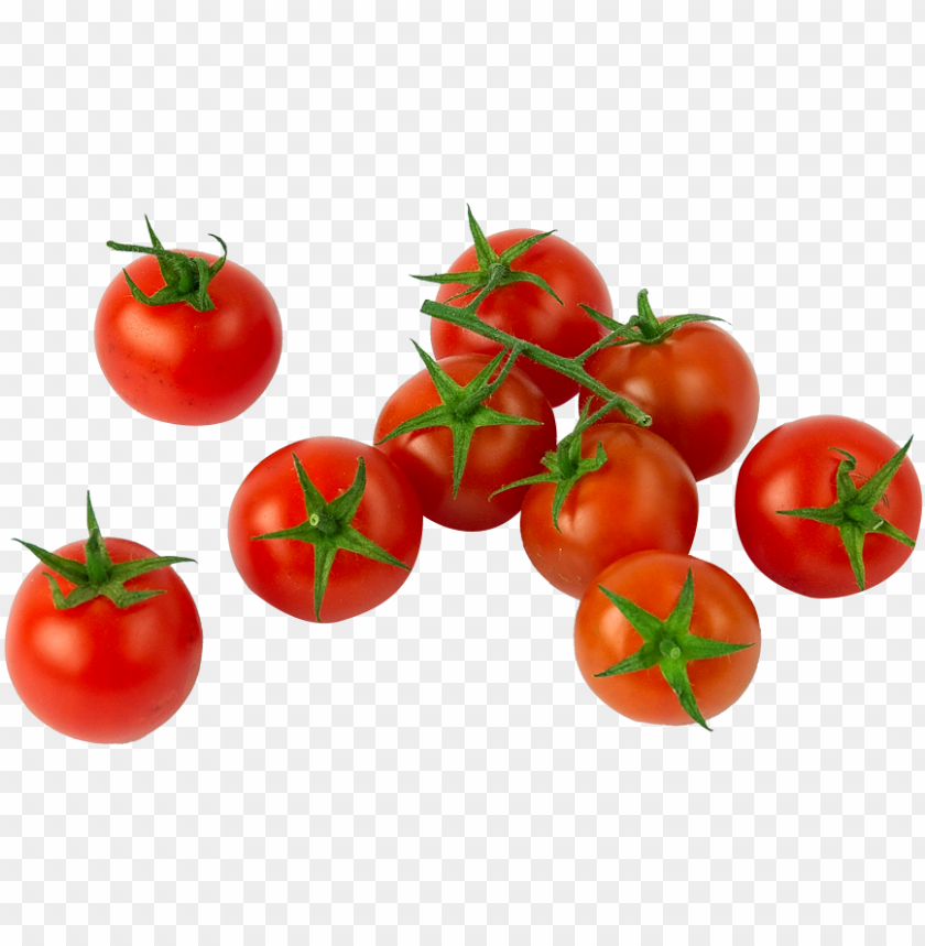 background, square, tomato, leaves, fruit, leaf, vegetable