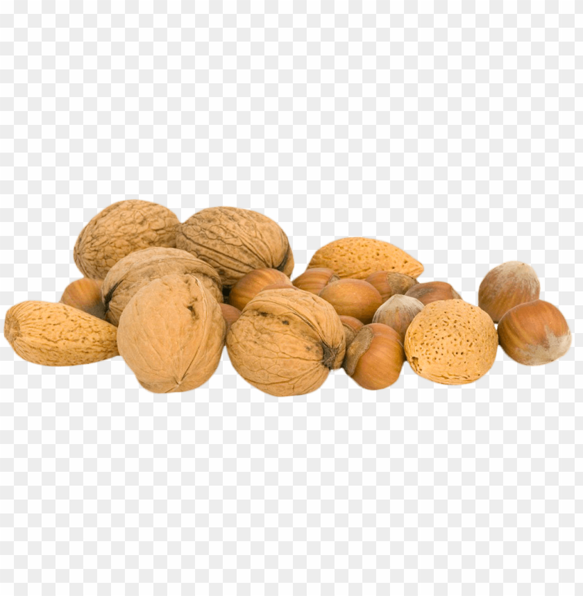 Walnut Png - Free PNG Images