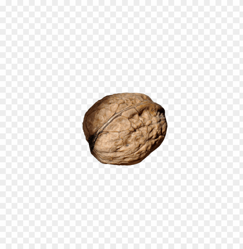 
walnut
, 
nut
, 
browb
, 
fresh
, 
food
, 
nuss
