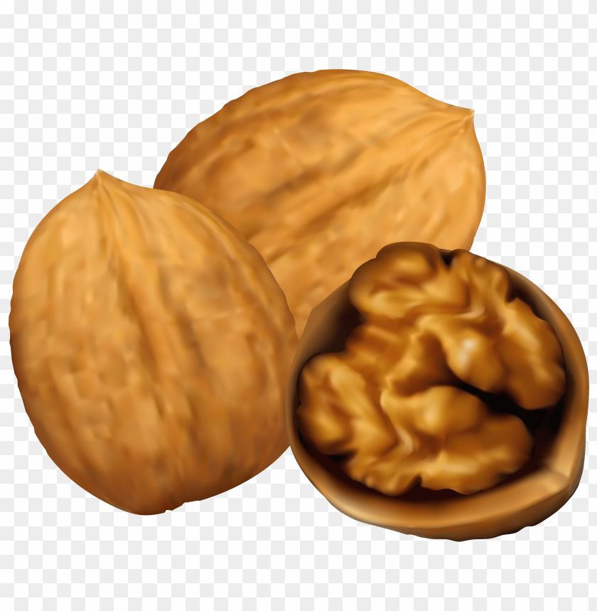 art, clip, walnuts