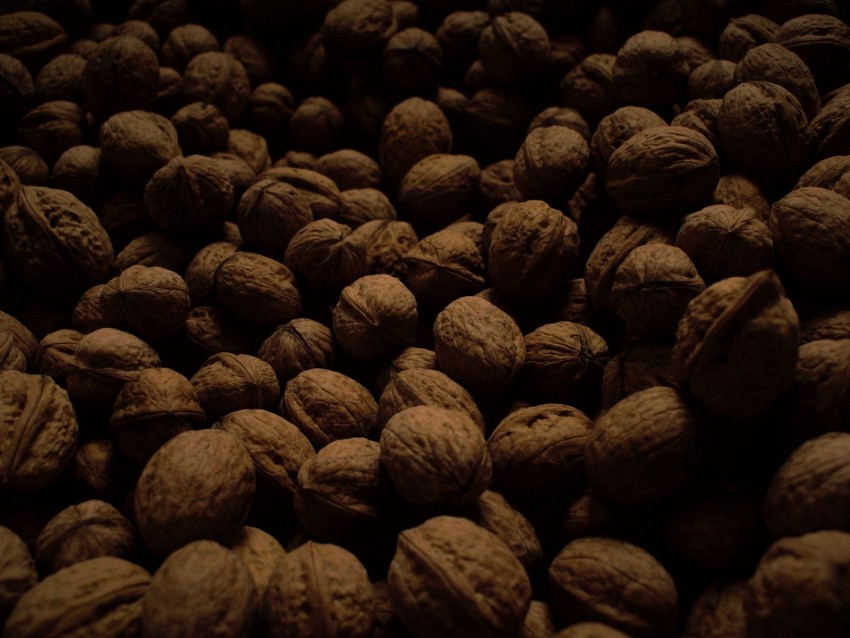 walnuts, dark, many, nuts, harvest
