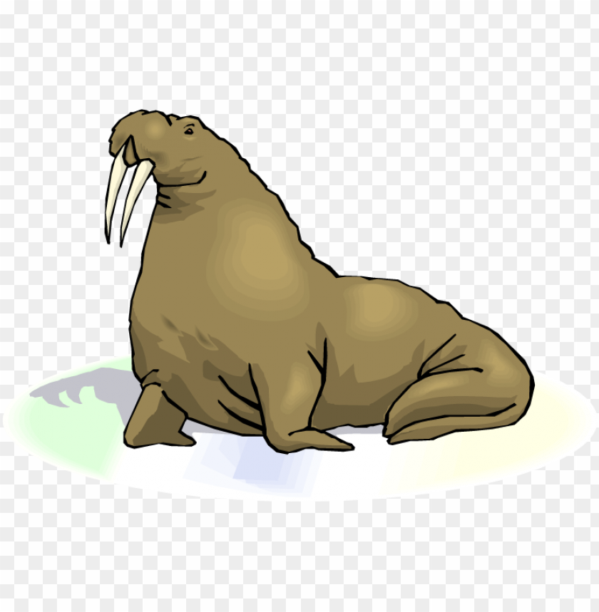 walrus transparent images png png images background - Image ID 7378