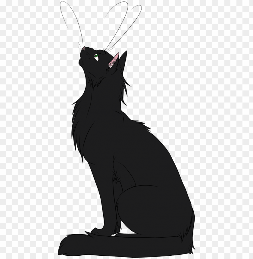 warrior cats deviantart hollyleaf PNG transparent with Clear Background ID 76277