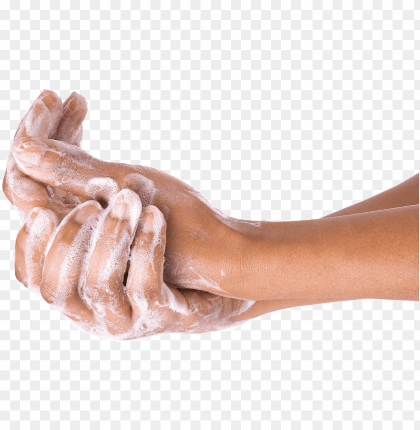 free PNG washing hands png - washing hands transparent PNG image with transparent background PNG images transparent