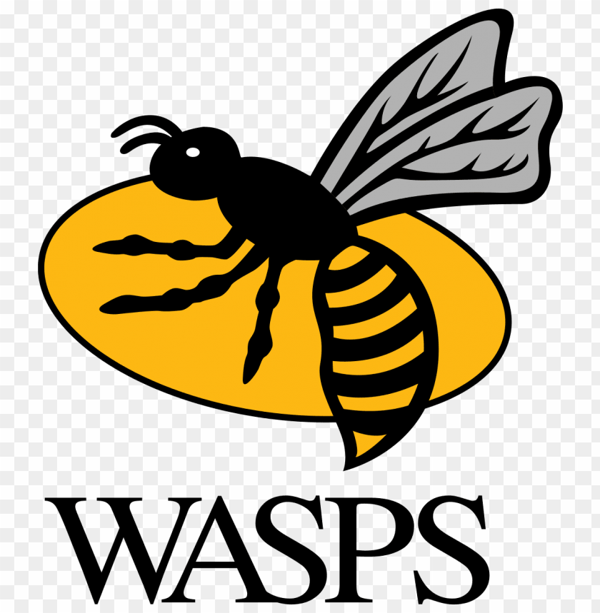 sports, rugby teams, wasps rugby logo, 