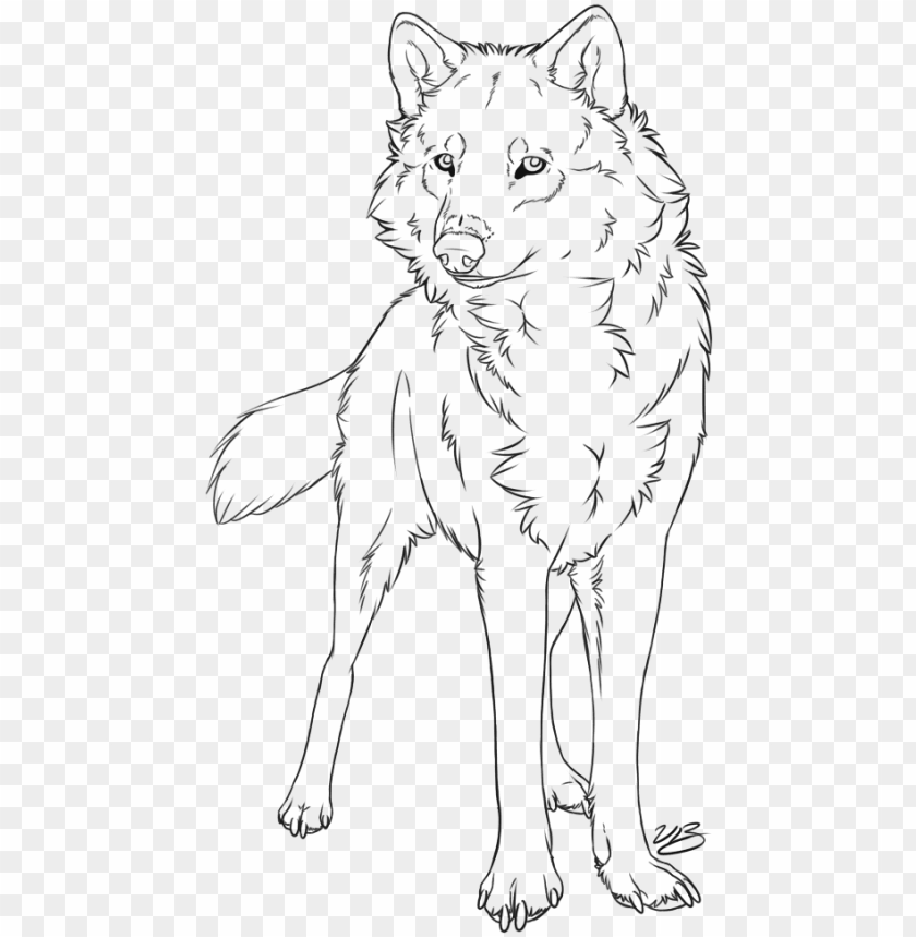 Watching You Wolf Lineart By Victoriadb - Wolf Line Art Drawi PNG Transparent With Clear Background ID 170338