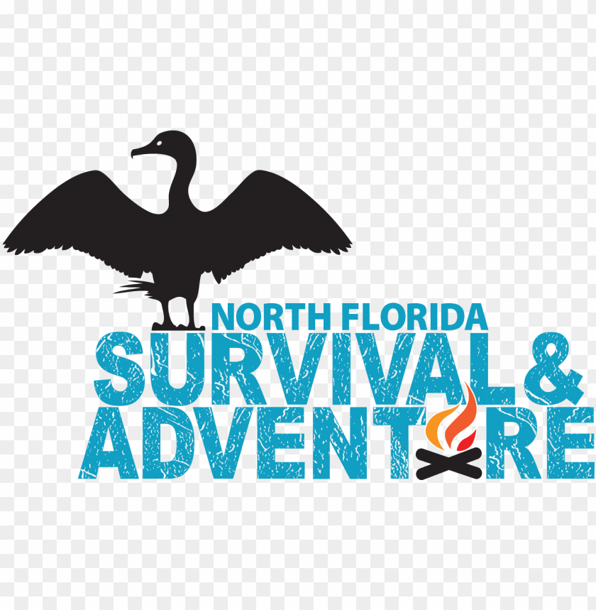 north arrow, north pole, the north face logo, north carolina outline, north america, florida gators