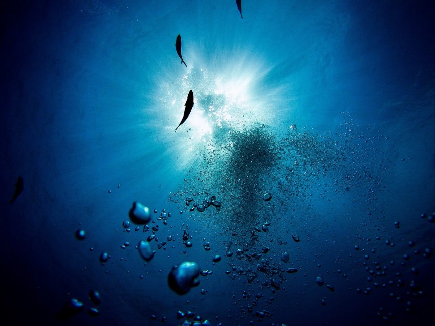 water, bubbles, fish, underwater, depth