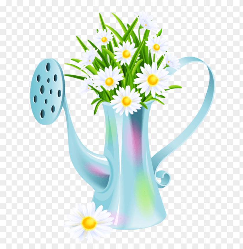 flowers, flowers png, spring png, flower png, white flower