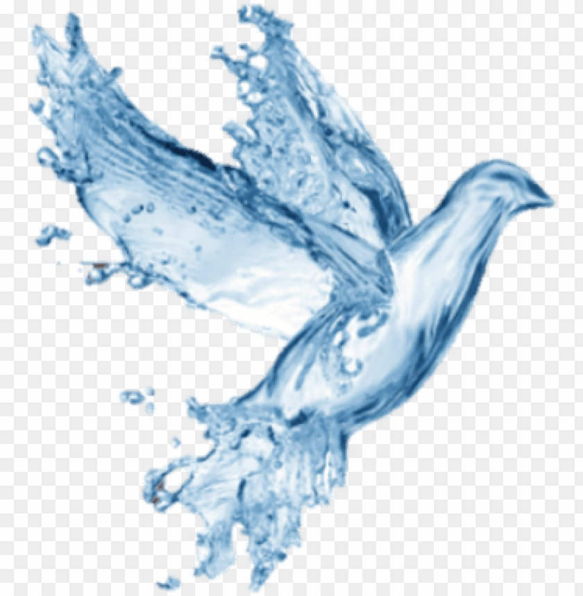 Water Dove Image - Prince Roger Nelson Ri PNG Transparent With Clear ...