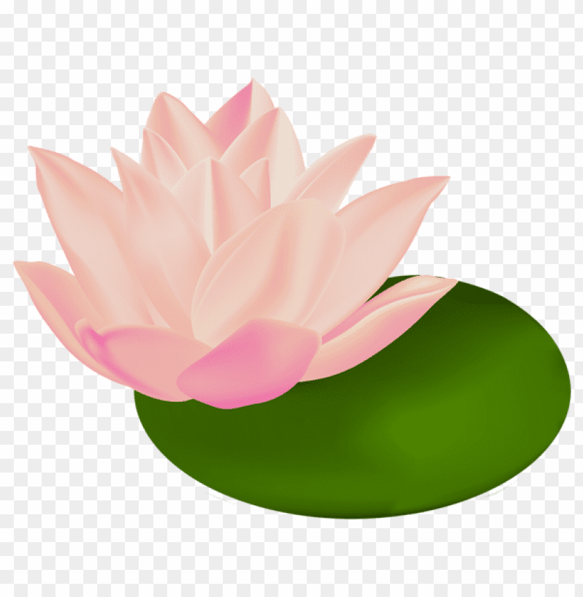 PNG image of water lily transparent with a clear background - Image ID 43527