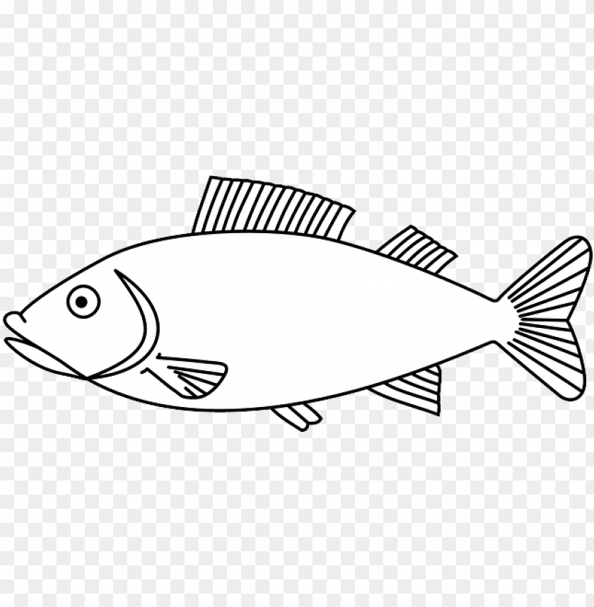 water, outline, white, fish, animal, sea, fishes - fish coloring page PNG image with transparent background@toppng.com