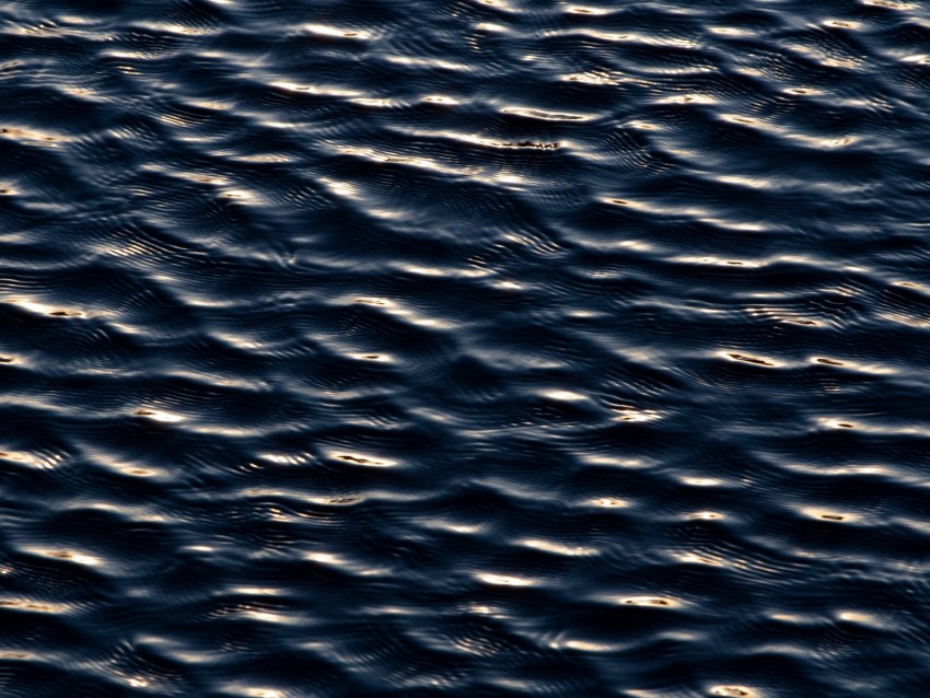 water, ripples, surface, shine, light