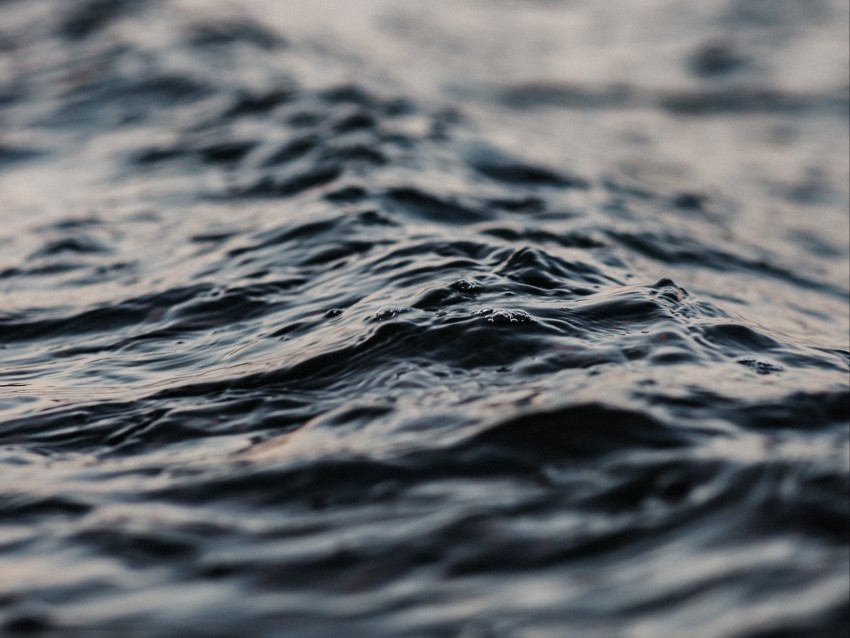 water, ripples, wave, sea