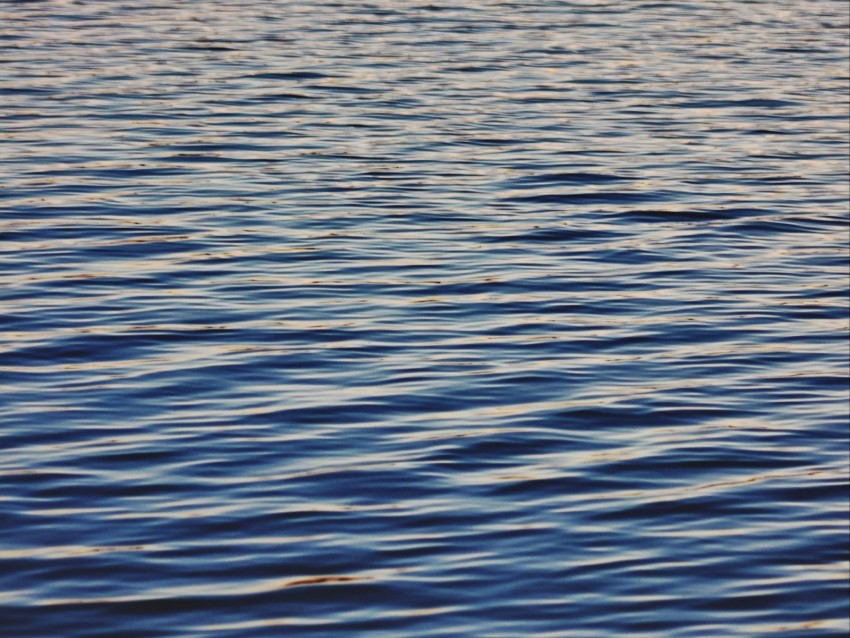 water, surface, ripples, waves