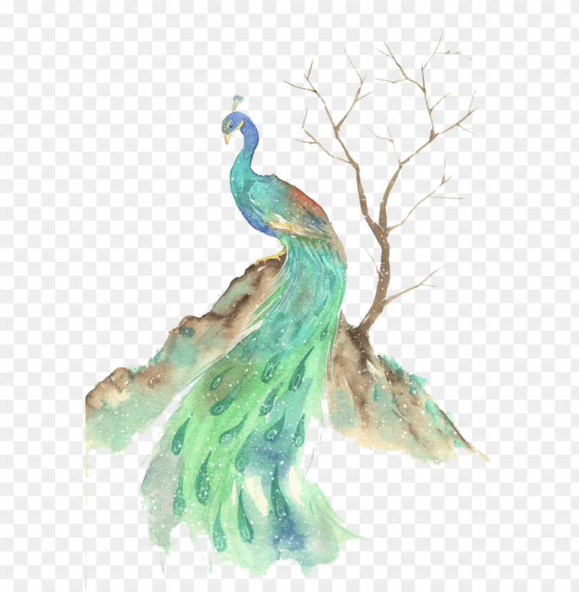 Download Watercolor Animals Peacock Png Image With Transparent Background Toppng