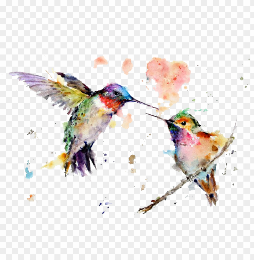 watercolor art painting drawing hummingbird free transparent kolibri aquarell PNG transparent with Clear Background ID 175519