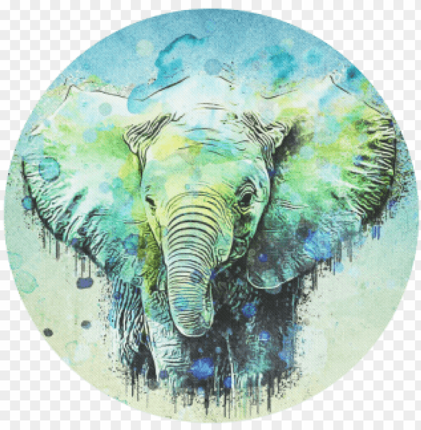 watercolor circle, watercolor brush strokes, elephant, watercolor wreath, watercolor flowers, watercolor background