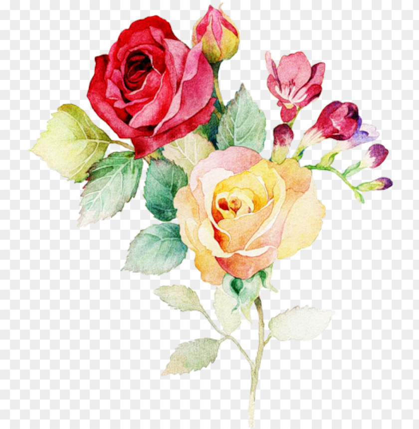 watercolor flower, leaves, rose, petals, water color, plants, tree