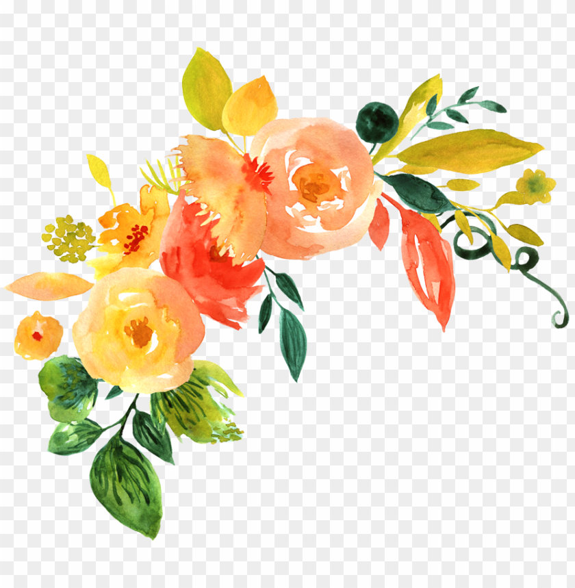 watercolor flower, plants, grunge, garden, design, flower vector, paper