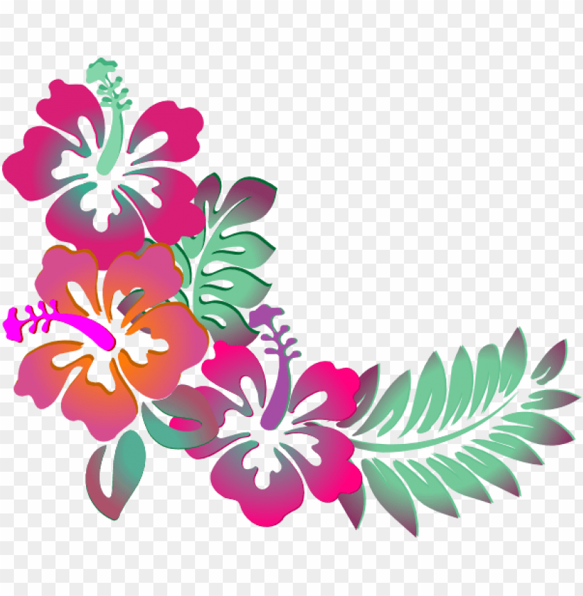 watercolor flower, hawaii, illustration, tropical, frame, hawaiian, food