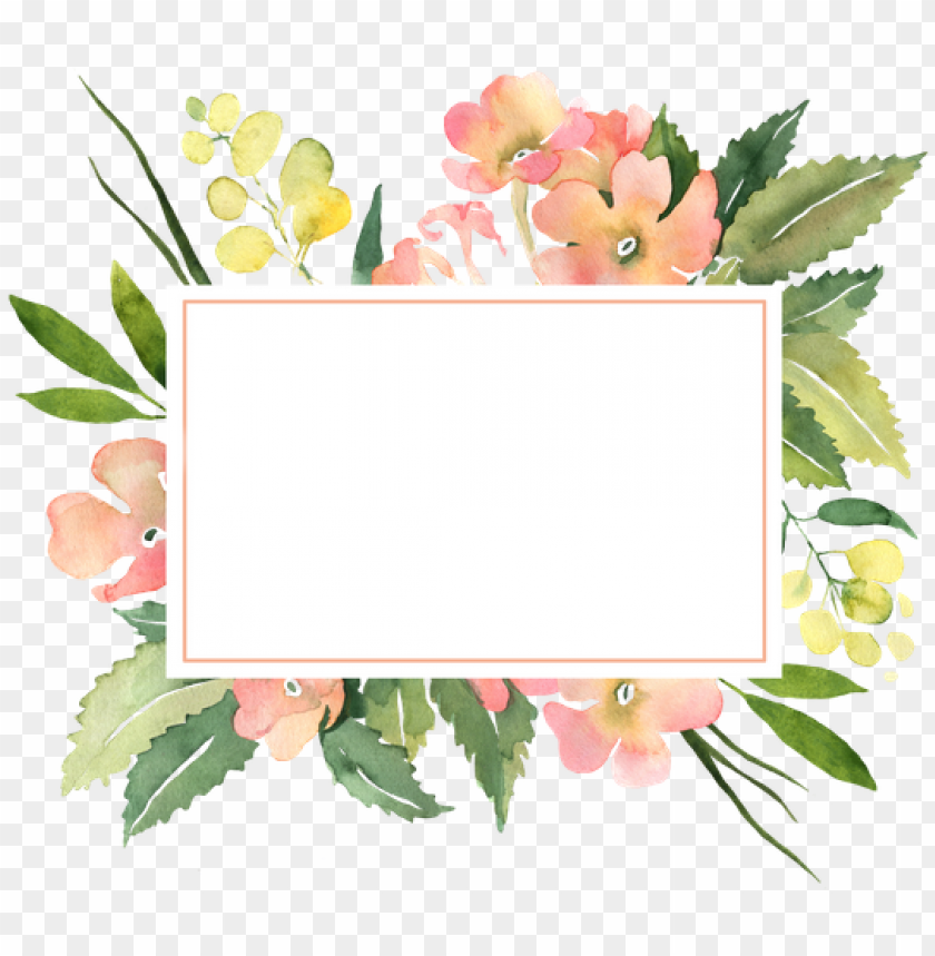 watercolor flower, girl, tree, light, flower frame, roses, frame