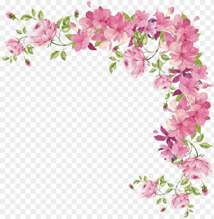 watercolor flowers transparent pink flower border png free png images toppng