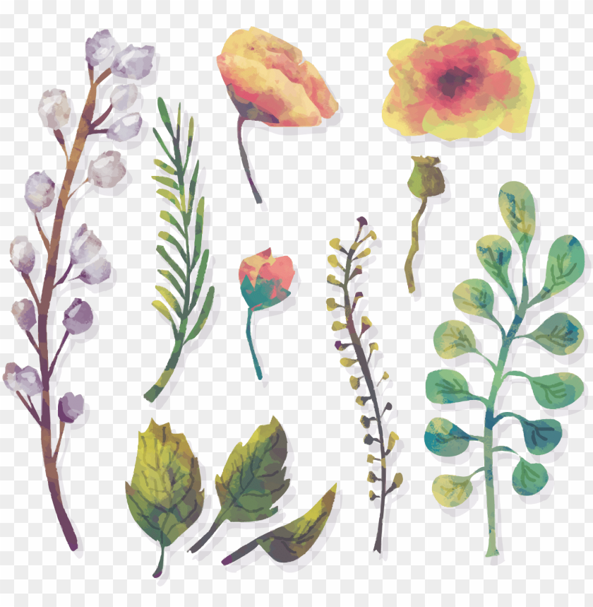Watercolor Flowers Watercolour Painting Models Of Water - Watercolor Painti PNG Transparent With Clear Background ID 228608