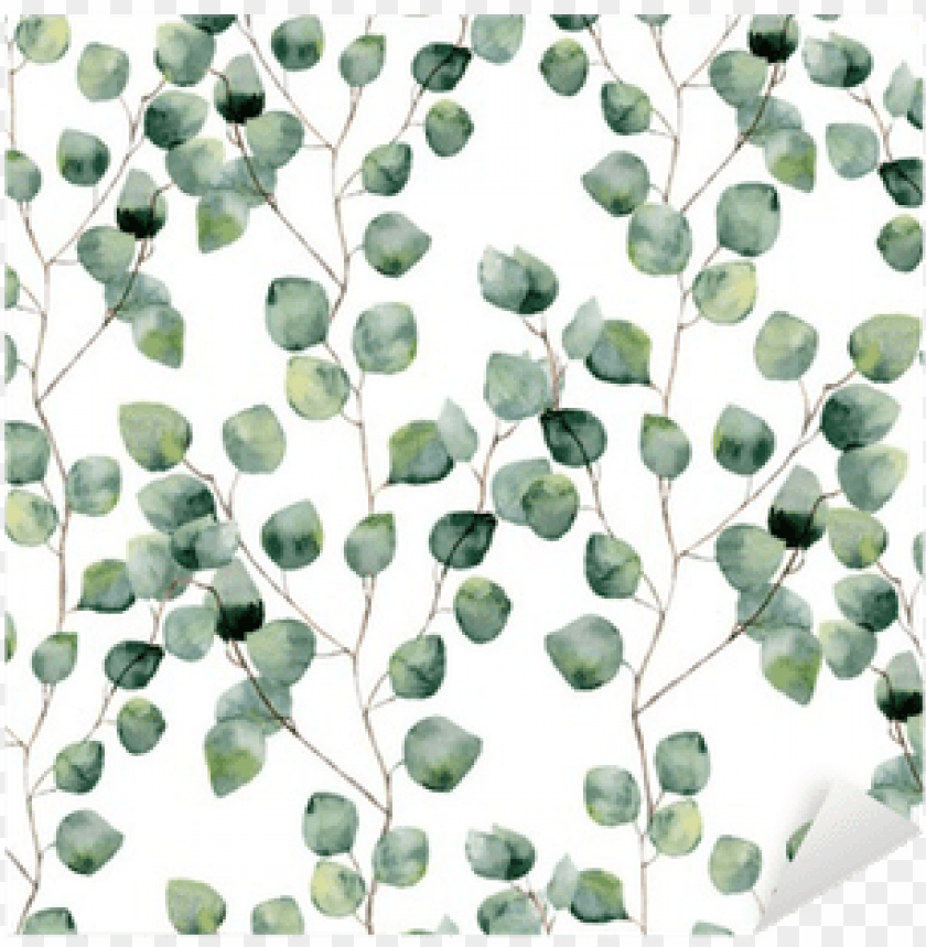 watercolor green floral seamless pattern with eucalyptus - eucalyptus  background PNG image with transparent background | TOPpng
