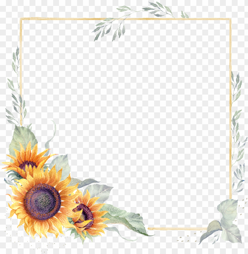 watercolor flower, set, pattern, painting wall, sunflowers, painting house, design